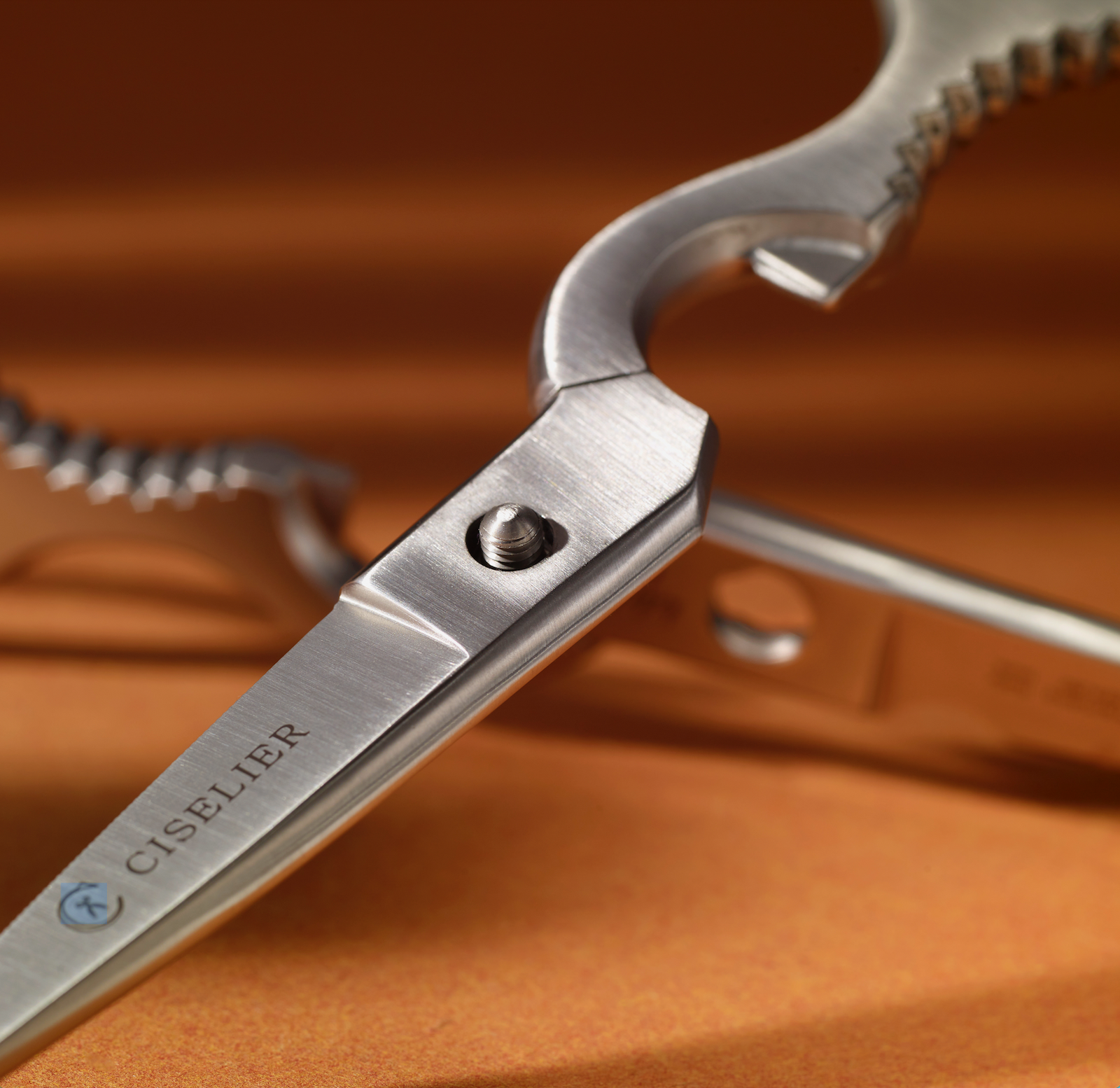 Using Kitchen Scissors #5: Spatchcocking Chicken - Ciselier Company