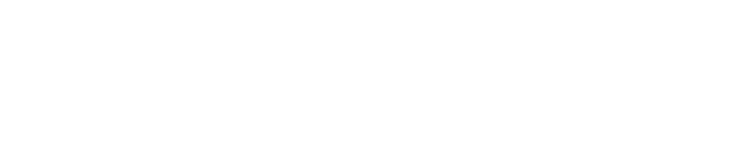 https://ciselier.com/cdn/shop/files/Ciselier_Logo_All_White_bolder_3132x.png?v=1647871898