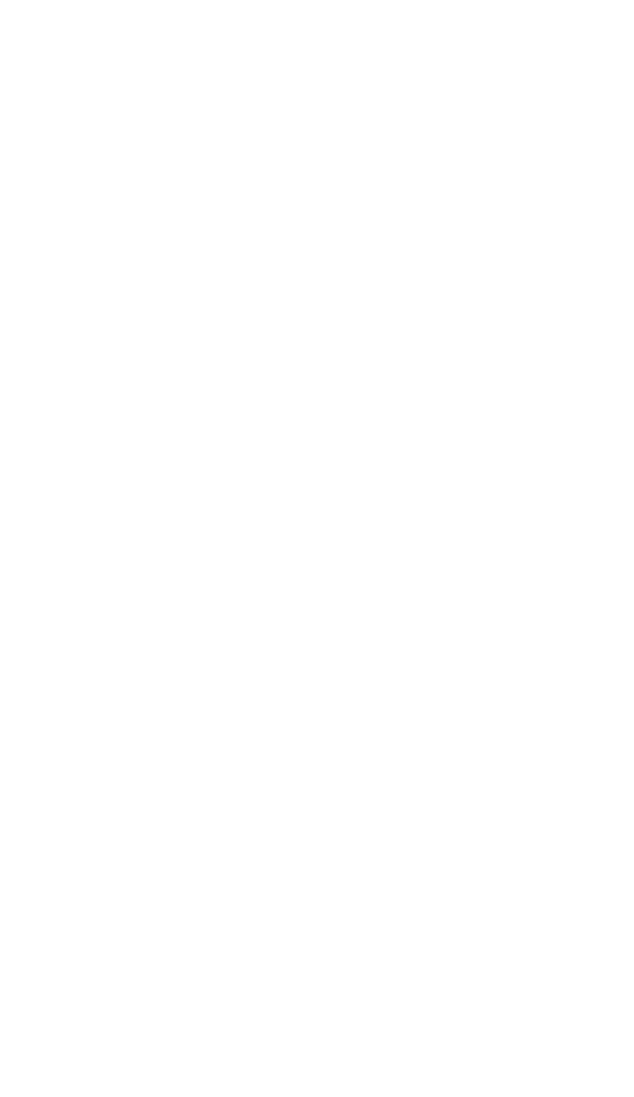 The Ciselier Guide to Scissor Anatomy - Ciselier Company